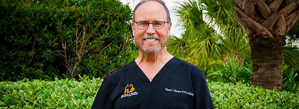 Katy Dentist - Thomas Harrison, DDS